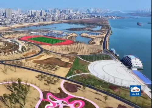 今日西湾公园爆料视频播放,视频揭秘公园美景与活动