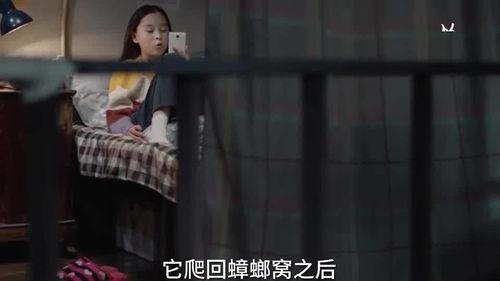 神秘人爆料视频拍摄,幕后真相大曝光！