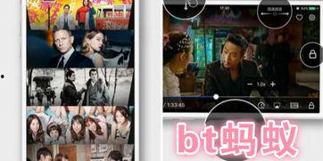 vip 在线观看,在线观影新体验，畅享影视盛宴