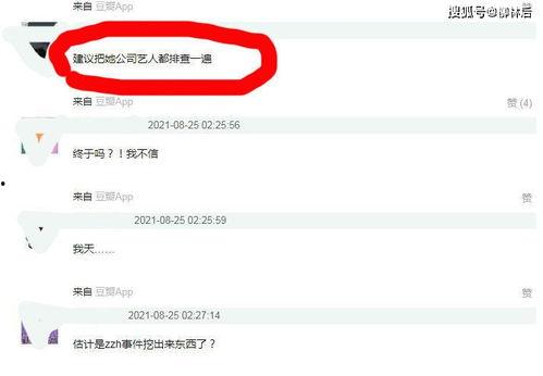 娱乐718吃瓜网违规吗,揭秘网络舆论监管边界